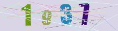 CAPTCHA validation image