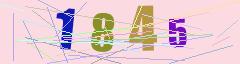 CAPTCHA validation image