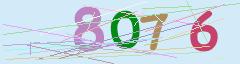 CAPTCHA validation image