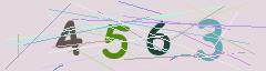 CAPTCHA validation image