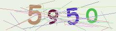 CAPTCHA validation image