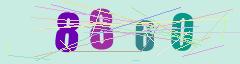 CAPTCHA validation image