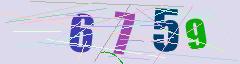CAPTCHA validation image