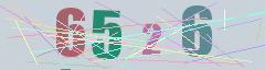 CAPTCHA validation image
