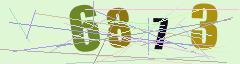 CAPTCHA validation image
