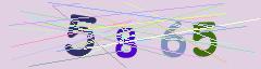CAPTCHA validation image