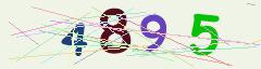 CAPTCHA validation image