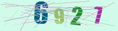 CAPTCHA validation image
