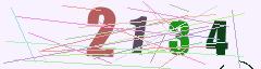 CAPTCHA validation image