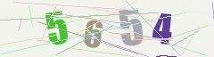 CAPTCHA validation image