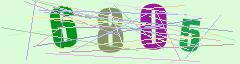 CAPTCHA validation image