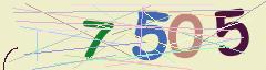 CAPTCHA validation image
