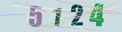 CAPTCHA validation image