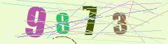 CAPTCHA validation image