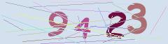 CAPTCHA validation image
