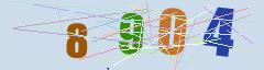 CAPTCHA validation image