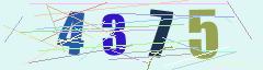 CAPTCHA validation image