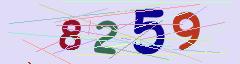 CAPTCHA validation image