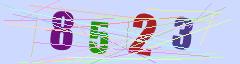 CAPTCHA validation image