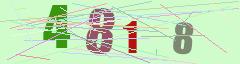 CAPTCHA validation image