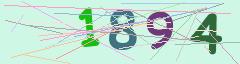 CAPTCHA validation image