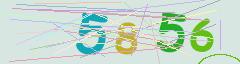 CAPTCHA validation image