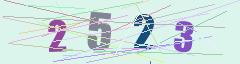 CAPTCHA validation image