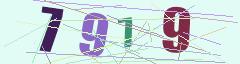 CAPTCHA validation image