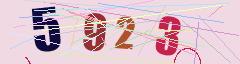 CAPTCHA validation image