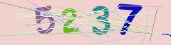 CAPTCHA validation image