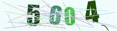 CAPTCHA validation image