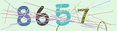 CAPTCHA validation image