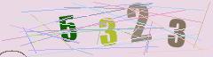 CAPTCHA validation image