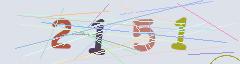 CAPTCHA validation image