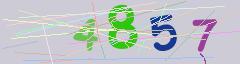 CAPTCHA validation image
