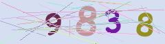 CAPTCHA validation image