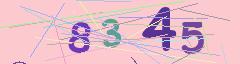 CAPTCHA validation image
