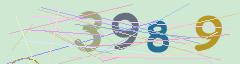 CAPTCHA validation image