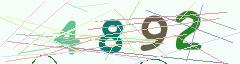 CAPTCHA validation image