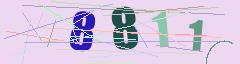 CAPTCHA validation image