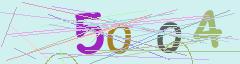 CAPTCHA validation image