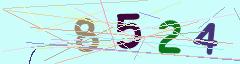 CAPTCHA validation image