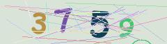 CAPTCHA validation image