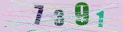 CAPTCHA validation image