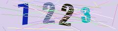 CAPTCHA validation image