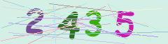 CAPTCHA validation image