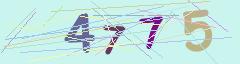 CAPTCHA validation image