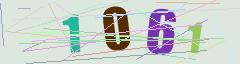 CAPTCHA validation image