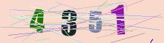 CAPTCHA validation image