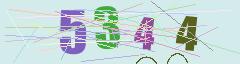 CAPTCHA validation image
